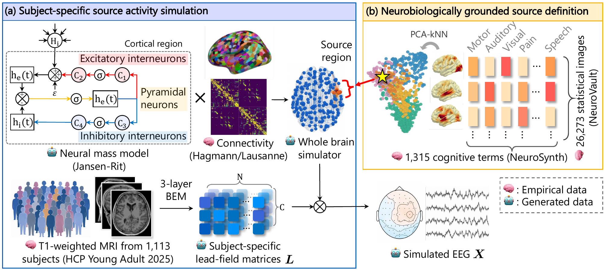 Whole-brain simulator used to train CANDLE